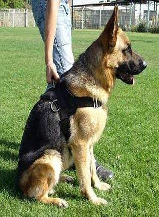 Pet Believe Comfortable Dog Harness Collar Pet Adjustable Vest Chest (XLL) - Image 5